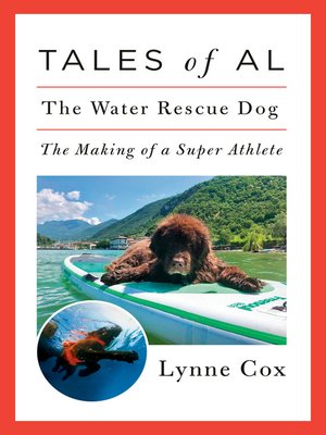 Tales of Al - ebook